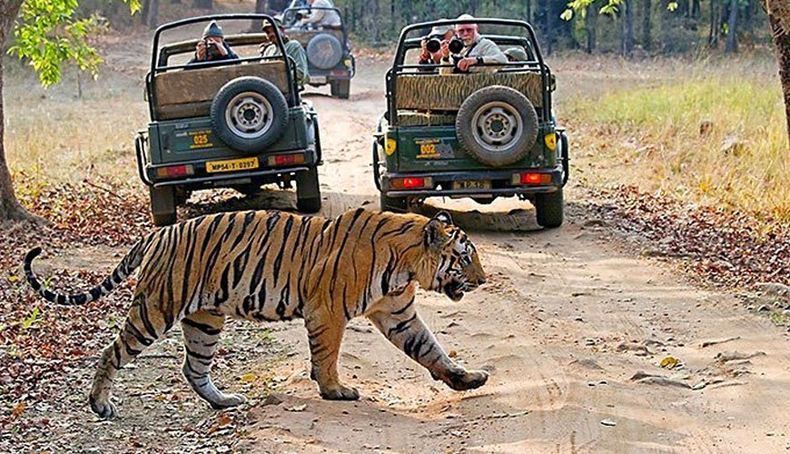 Amazing Rajasthan Tour
